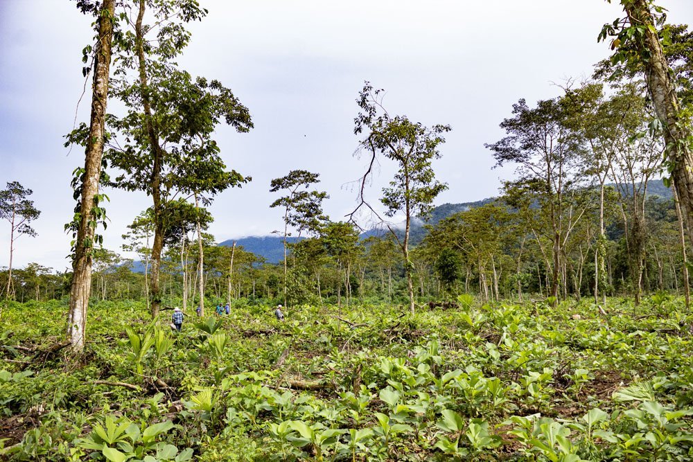 Llano Bonito Nature Reserve
