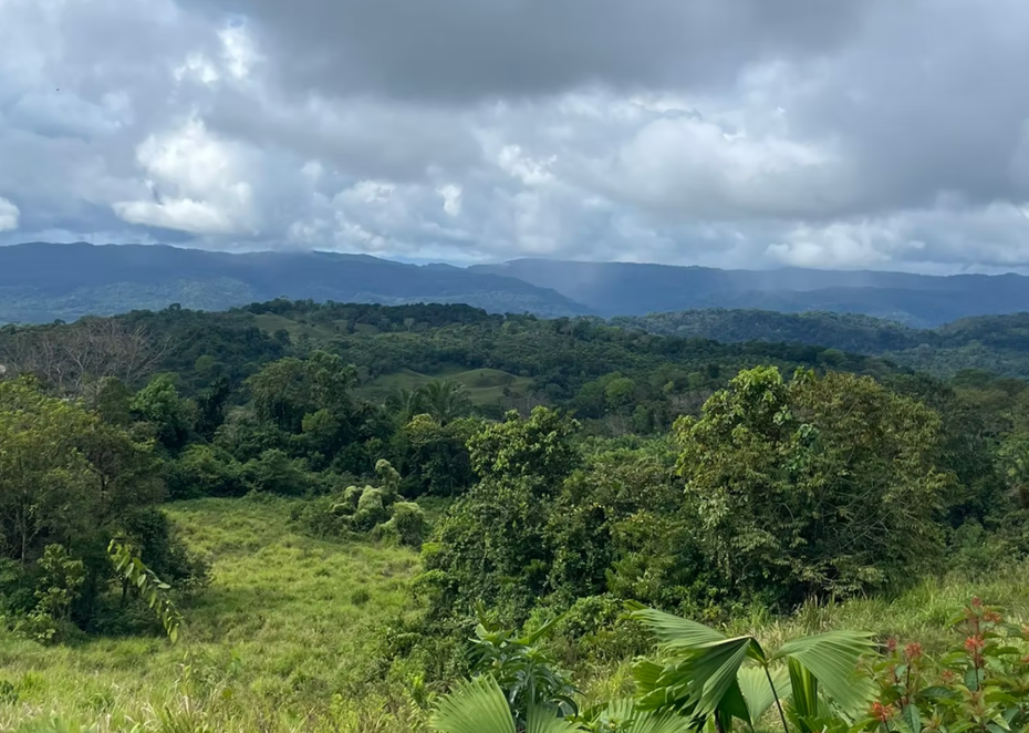 Llano Bonito Nature Reserve